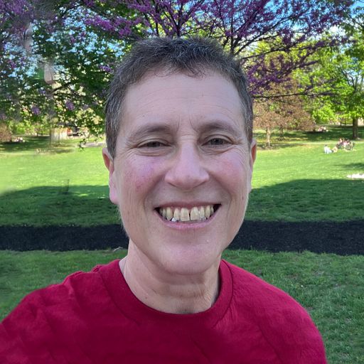 A headshot image of Diana Shapiro