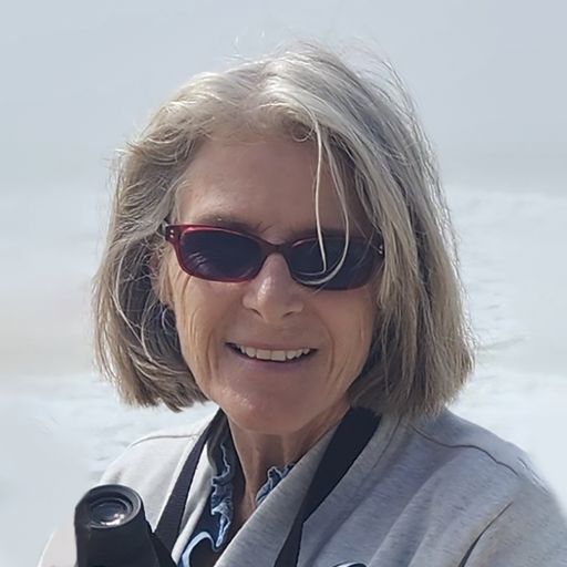 A headshot image of Krista Oberlander