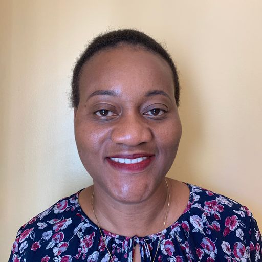 A headshot image of Toyin Adekunle